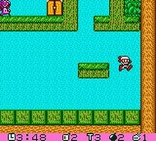 une photo d'Ã©cran de Pocket Bomberman sur Nintendo Game Boy Color